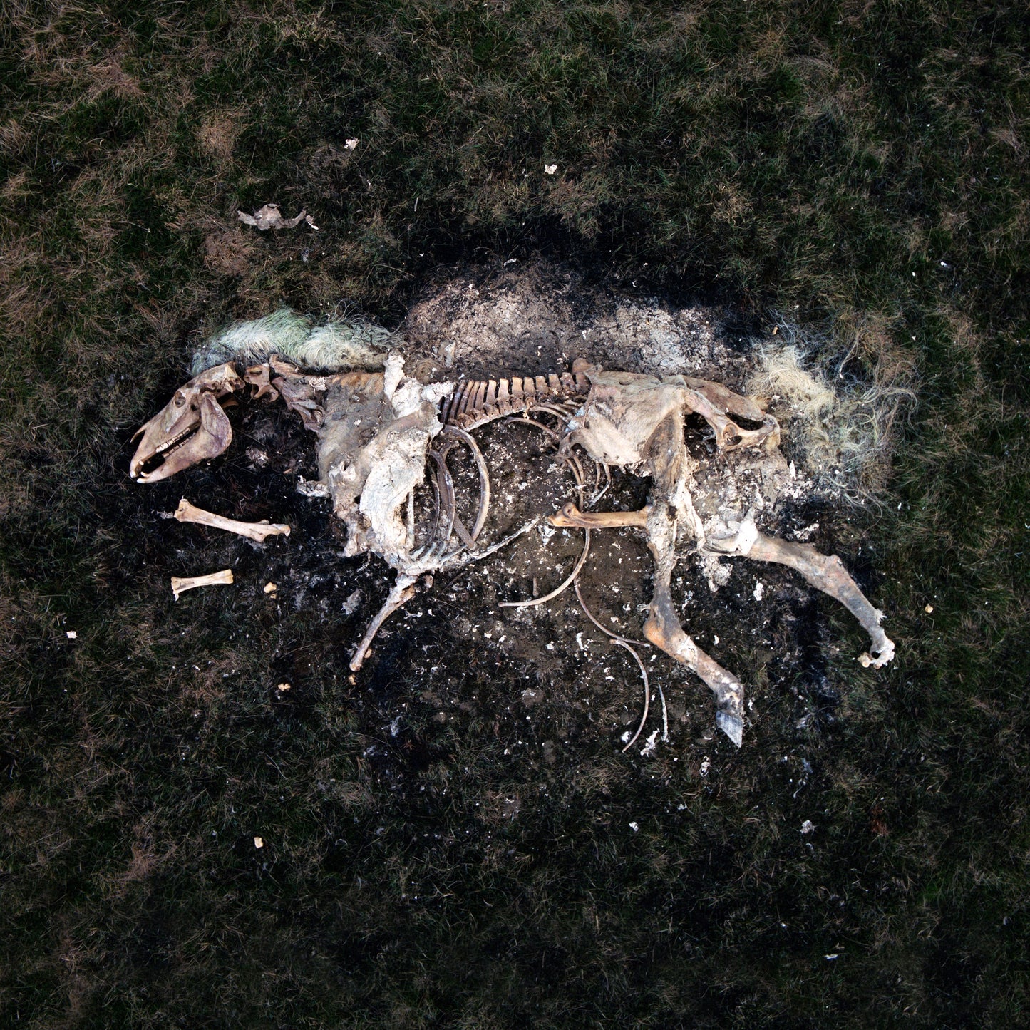 Hlynur Pálmason: Harmljóð um hest 5, 2024. (Innrammað: 115.000 kr.)