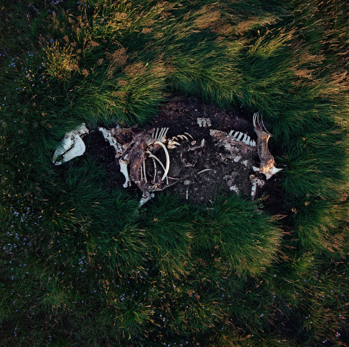 Hlynur Pálmason: Harmljóð um hest 6, 2024. (Innrammað: 115.000 kr.)